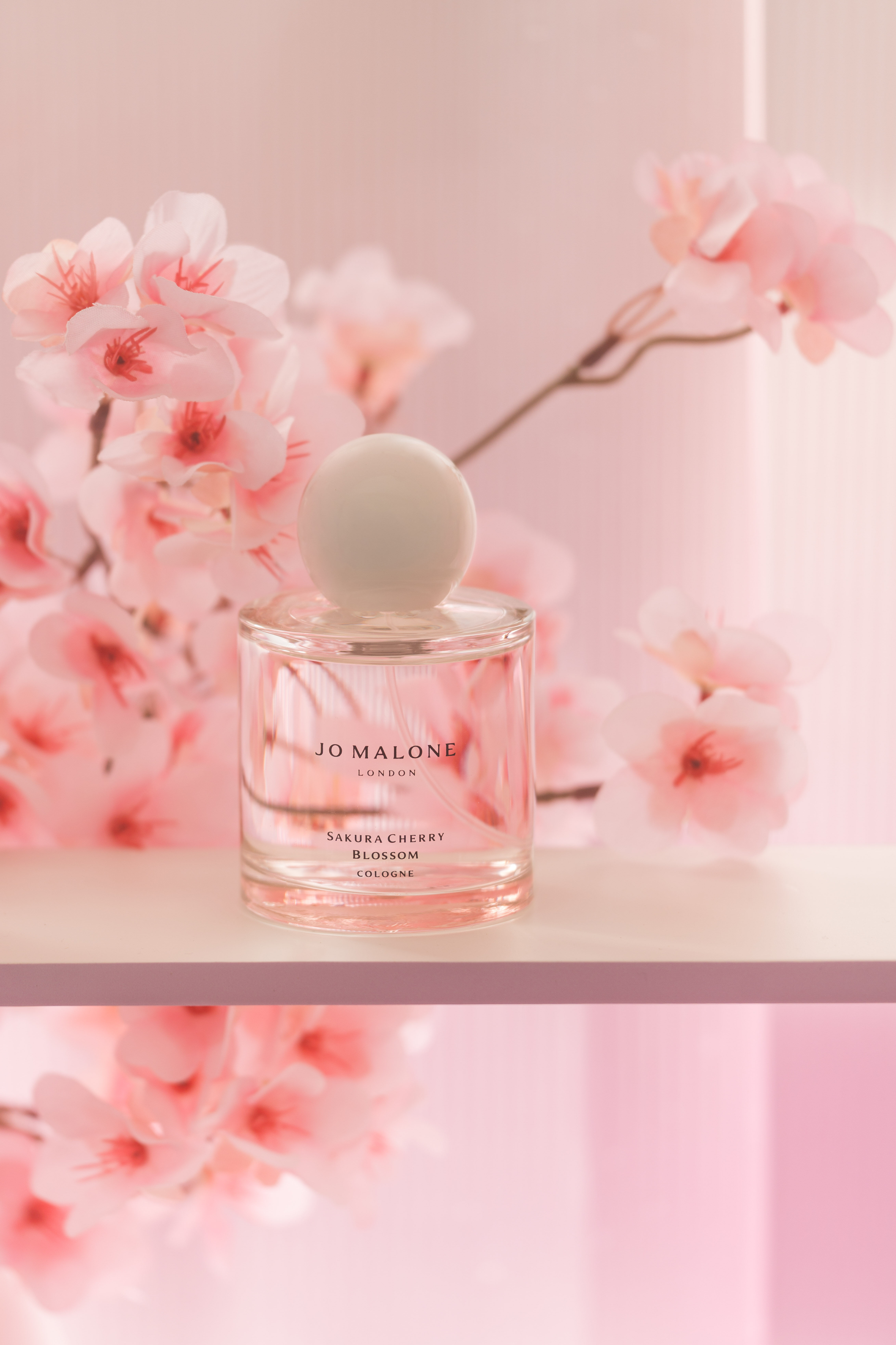 ▲▼櫻花美妝。（圖／品牌提供）