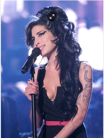 ▲▼張國榮 艾美懷絲 鄭恩宇。（圖／翻攝自Instagram／eun_woo109）