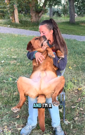 拉布拉多犬Leo。（圖／翻攝自Tiktok@thank.you.leo）