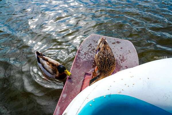 ▲▼映象水岸。（圖／部落客Mika授權提供）