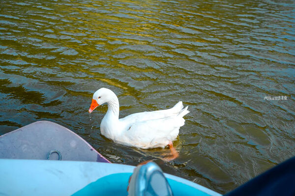 ▲▼映象水岸。（圖／部落客Mika授權提供）
