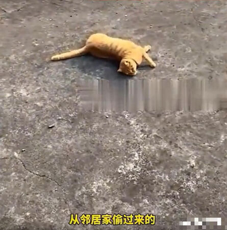 ▲▼四川女子拜拜後家門口竟連續「掉錢」。（圖／翻攝微博）