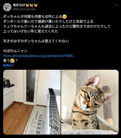 貓咪柵欄。（圖／翻攝自X）