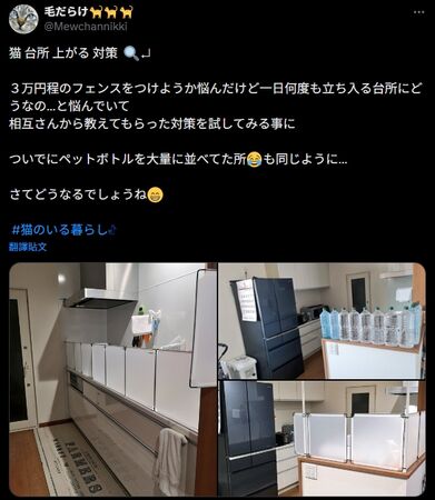 貓咪柵欄。（圖／翻攝自X）