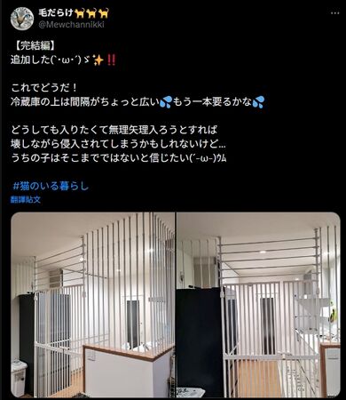 貓咪柵欄。（圖／翻攝自X）