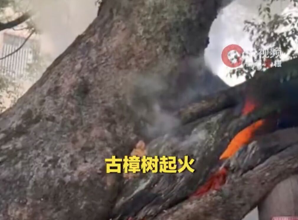 ▲湖南道縣一棵千年古樟樹起火，反覆燃燒7小時後才撲滅。（圖／翻攝微博）