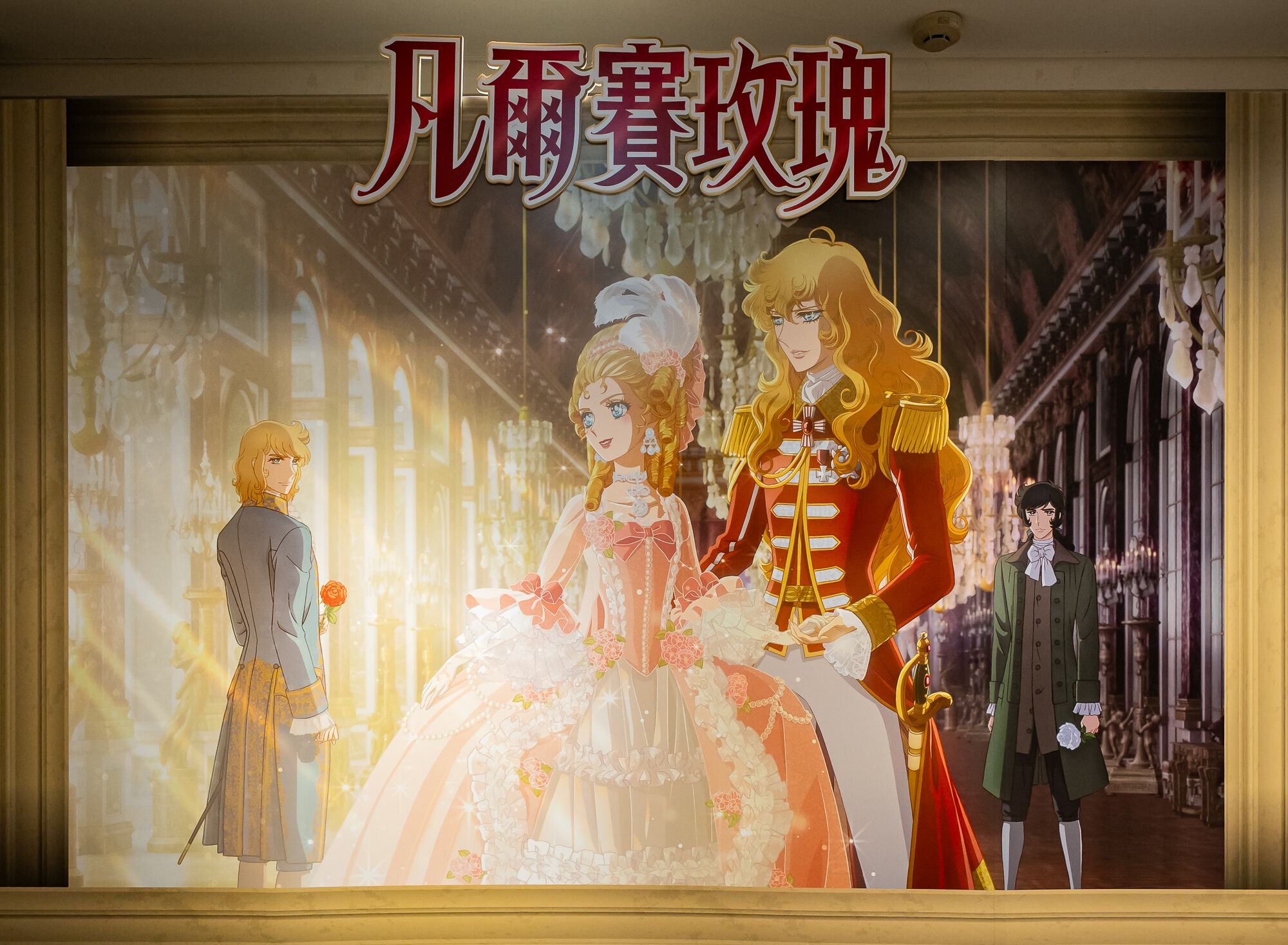 ▲▼凡爾賽玫瑰。（圖／廠商提供）