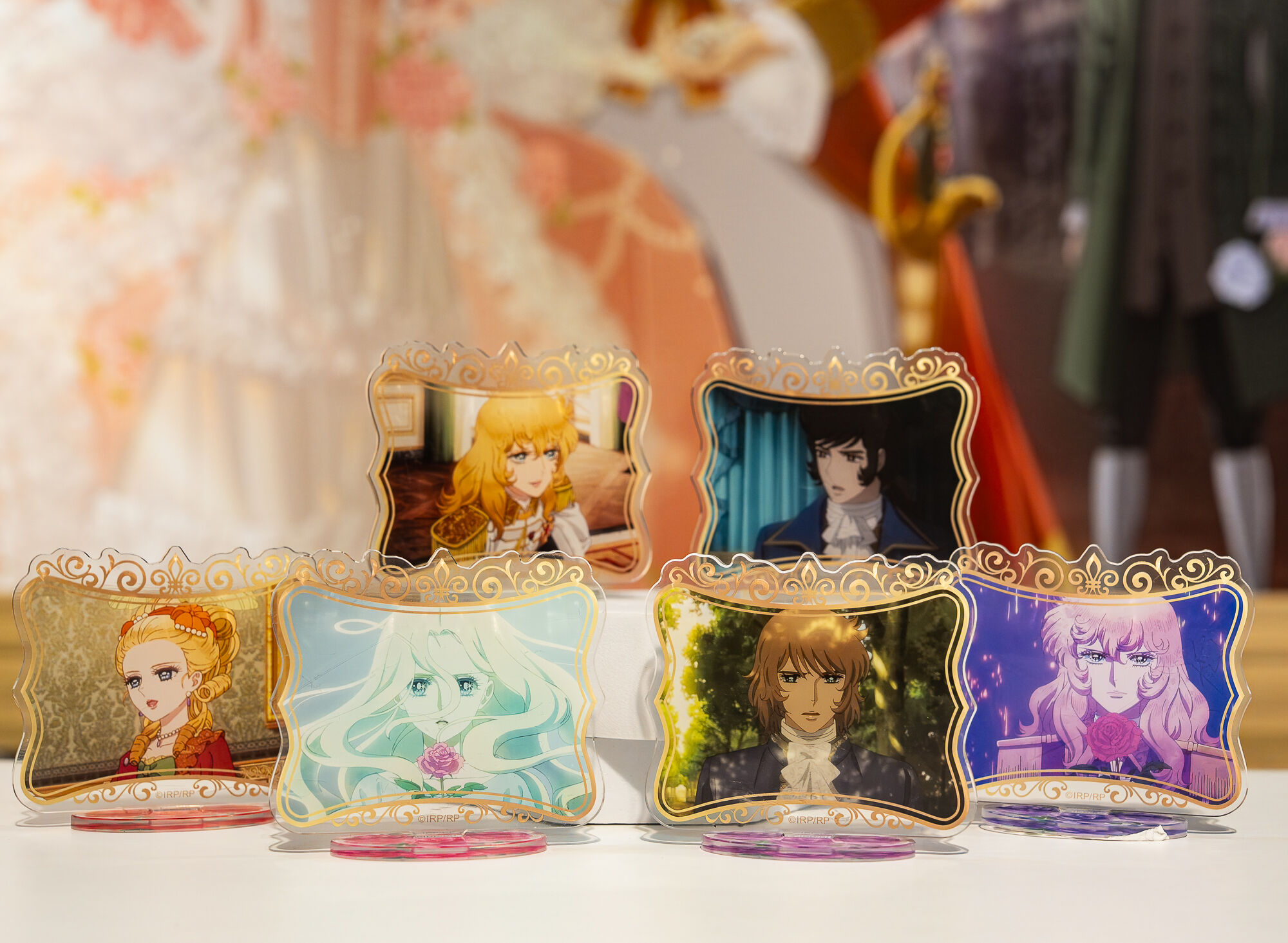 ▲▼凡爾賽玫瑰。（圖／廠商提供）