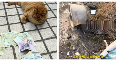 拜財神後家中頻撿到錢！女子以為「顯靈」...真相曝光她傻眼