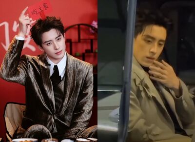 陸大咖男星「怒吼揮開私生飯」衝突影片曝光！　高速公路曾遭惡意逼車