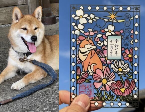 ▲▼東京感通寺。（圖／本妙山髙田感通寺提供）