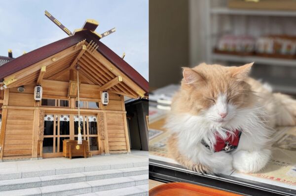 ▲▼東京駒込妙義神社。（圖／東京駒込妙義神社提供）