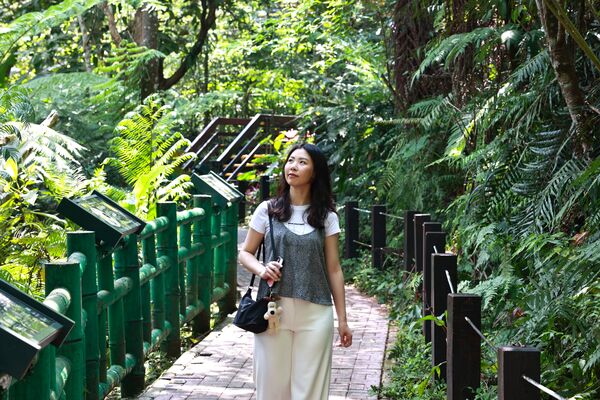 ▲土城太極嶺與桐花公園,三峽清水祖師廟,中和烘爐地南山福德宮步道,板橋接雲寺。（圖／新北市觀旅局提供）