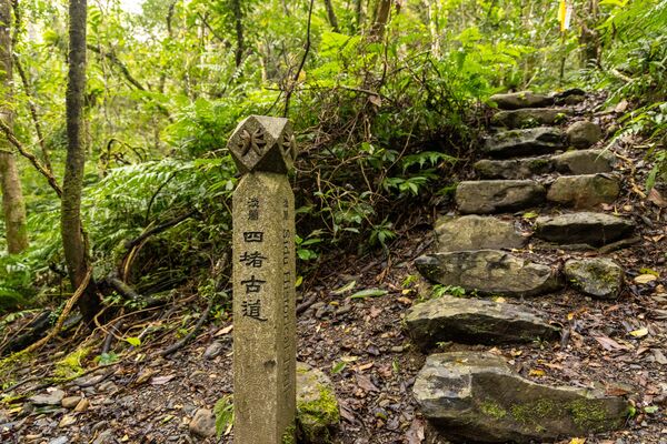 ▲淡蘭古道南路坪林段保留古道石階與自然景觀，行走於茶鄉山林間感受歷史痕跡。（圖／新北市觀旅局提供）