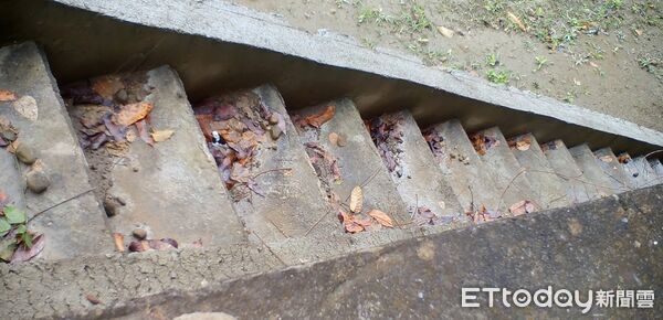 ▲國有林治理工程動物通道設施進行紅外線相機長期監測，玉井51林班拍攝到穿山甲等保育類動物使用通道畫面。（圖／記者林東良翻攝，下同）