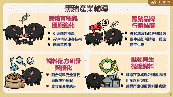 ▲▼廚餘養豬115年底落日，農業部向政院報告輔導業者轉型最新進度。（圖／農業部提供）