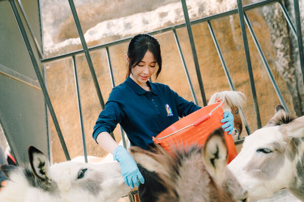 ▲《動物園》將於2月20日首播。（圖／Disney+提供）