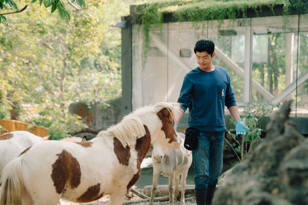 ▲《動物園》將於2月20日首播。（圖／Disney+提供）