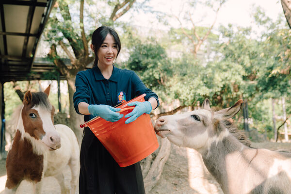 ▲《動物園》將於2月20日首播。（圖／Disney+提供）