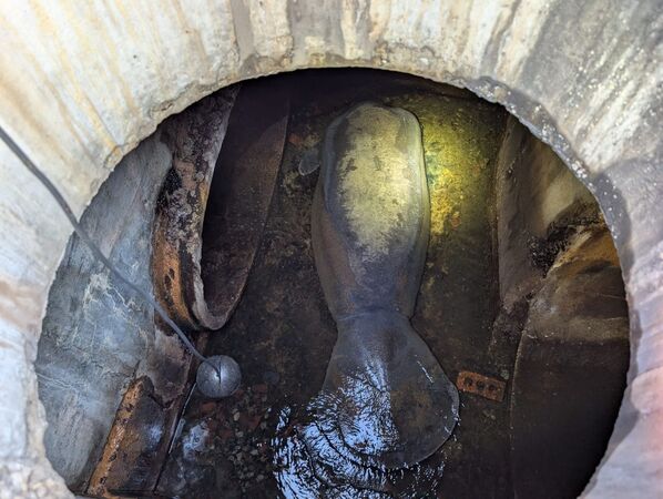 一頭重達186公斤的海牛，受困在雨水排水系統中。（翻攝Brevard County Fire Rescue）