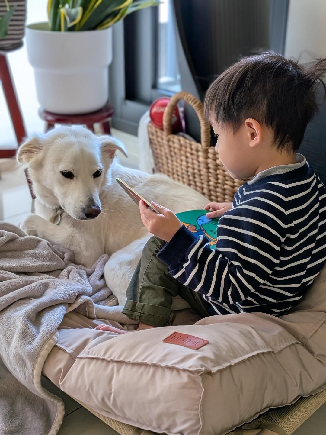 ▲萌汪戴頭套悶悶不樂　2歲小主人暖心安慰「摸頭講故事」融化網友。（圖／KUMO。春捲＠kumo2021.11提供，請勿隨意翻拍，以免侵權。）