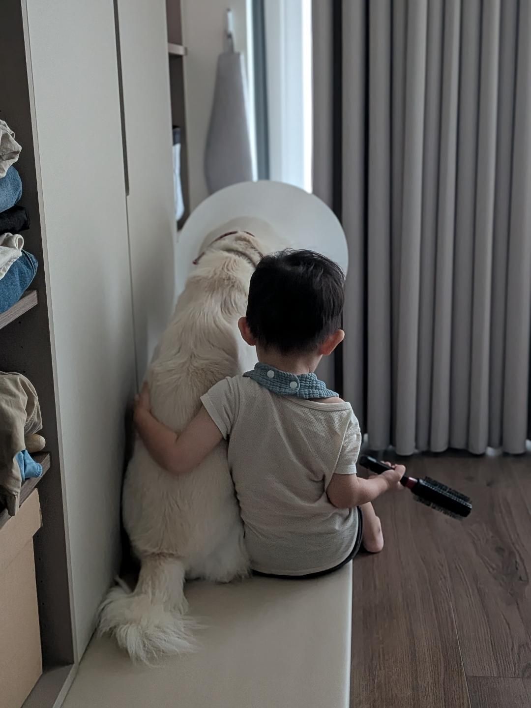 ▲萌汪戴頭套悶悶不樂　2歲小主人暖心安慰「摸頭講故事」融化網友。（圖／KUMO。春捲＠kumo2021.11提供，請勿隨意翻拍，以免侵權。）
