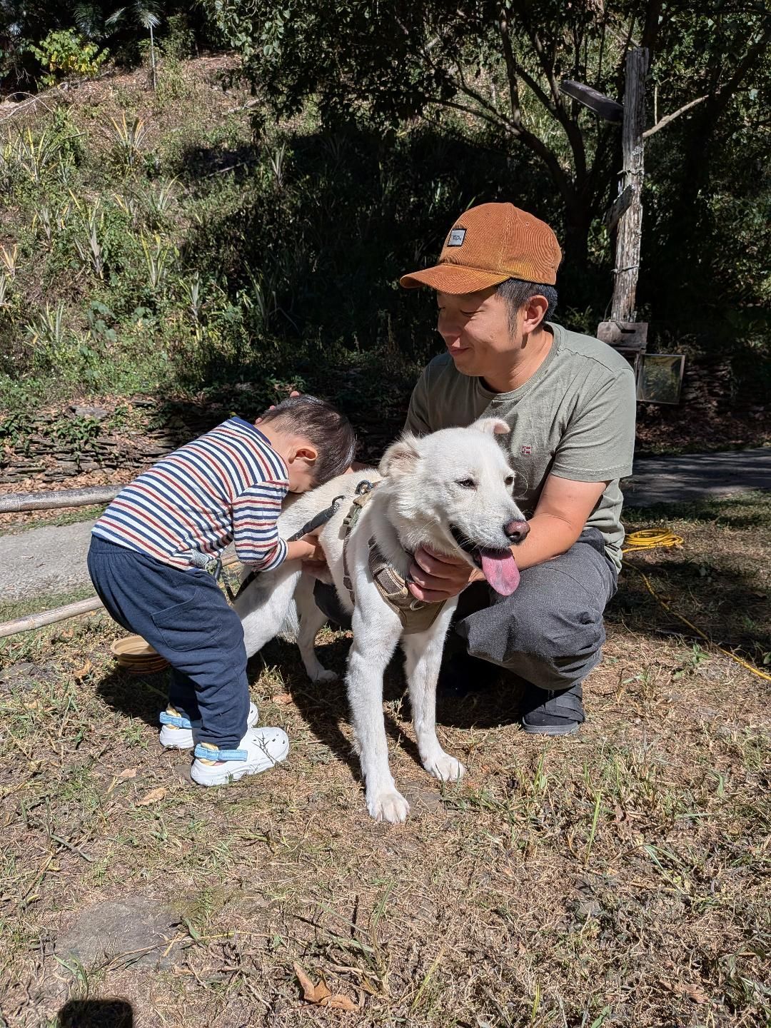 ▲萌汪戴頭套悶悶不樂　2歲小主人暖心安慰「摸頭講故事」融化網友。（圖／KUMO。春捲＠kumo2021.11提供，請勿隨意翻拍，以免侵權。）