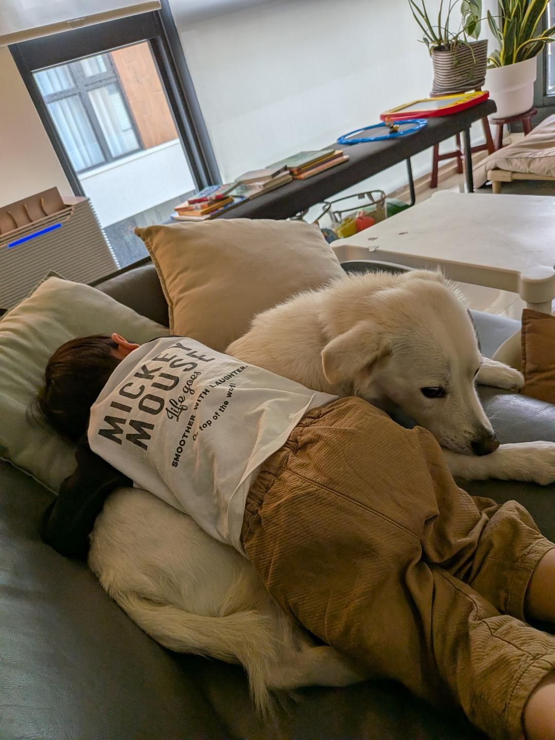 ▲萌汪戴頭套悶悶不樂　2歲小主人暖心安慰「摸頭講故事」融化網友。（圖／KUMO。春捲＠kumo2021.11提供，請勿隨意翻拍，以免侵權。）