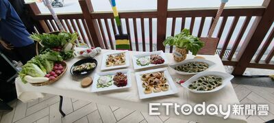 花蓮光復鄉復耕鮮蔬新上市！供應校園營養午餐　農糧署助推通路