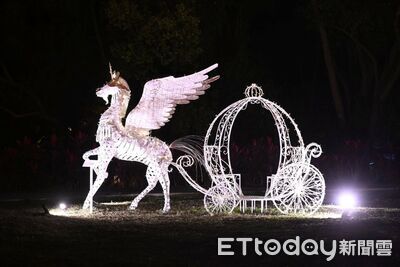 大陳公園夜晚大變身！光耀森林燈海成花蓮走春新景點