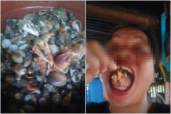 ▲▼             。（圖／翻攝自臉書）