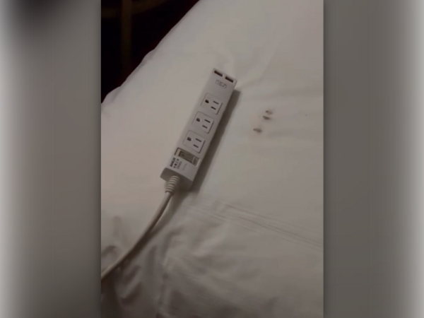 ▲▼             。（圖／shunshunzzzz提供，請勿隨意翻拍，以免侵權。）