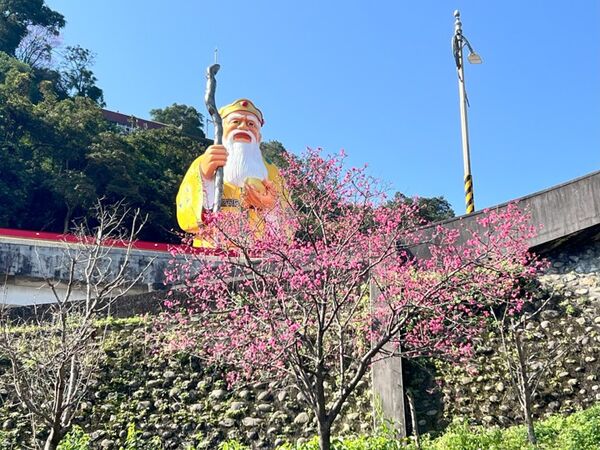 ▲新北推烘爐地、太極嶺步道賞花秘境。（圖／新北市景觀處提供）