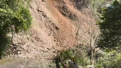 即／邊坡崩塌落石持續　福山植物園休園至2/23