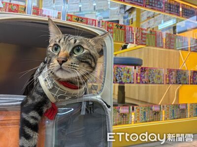 外出遛貓突然失控暴衝跳進彩券行　意外「抓」出百萬大獎