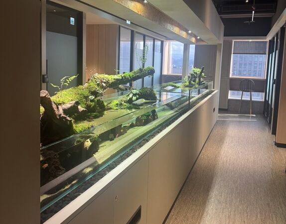 ▲優雅舒適的空間設計。（圖／台驊提供）