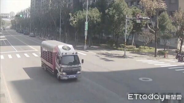 ▲女警安撫逃脫黑豬，隨後以童軍繩將其制伏。（圖／記者陸運陞翻攝）