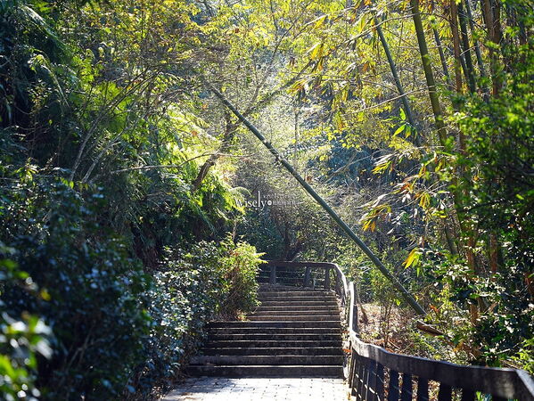 ▲▼日月潭慈恩塔。（圖／部落客WISELY`s 拍拍照寫寫字授權提供）