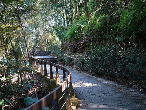 ▲▼日月潭慈恩塔。（圖／部落客WISELY`s 拍拍照寫寫字授權提供）