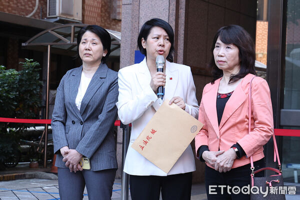 ▲李貞秀召開「民進黨停止追殺陸配 為新住民站出來」記者會。（圖／記者林敬旻攝）