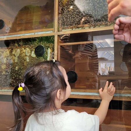 ▲▼南投親子景點。（圖／ReadyGo提供）