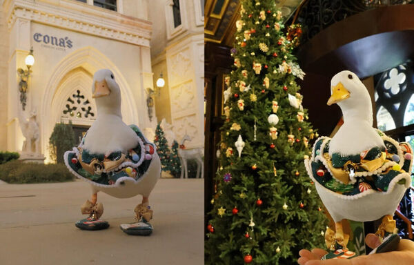 ▲▼南投親子景點。（圖／ReadyGo提供）