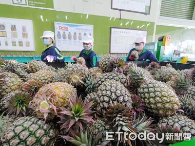 台灣鳳梨首度獲美國檢疫認可　農業部：最快5月底出口