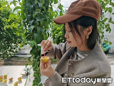 零下30度也能採百香果！　內蒙「自暖牆」打造北緯46度熱帶果園