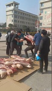 最有份量獎品！　陸優秀高中生扛「豬羊」回家過年