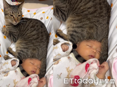 轉頭一看寶寶戴「貓帽」還有尾巴當圍巾　媽笑出來：白擔心了