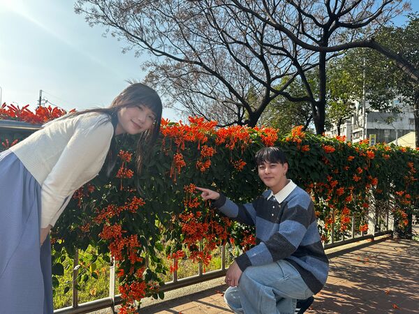 ▲新北春節賞花新亮點 鴨母港炮仗花迎暖陽盛放。（圖／新北市水利局提供）