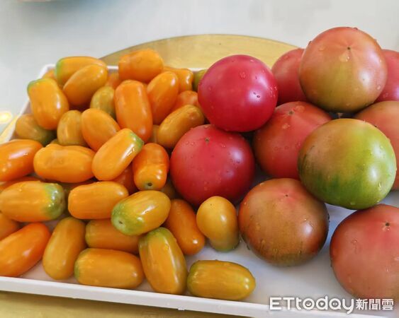 ▲▼ 內蒙留稿、2026            。（圖／記者任以芳攝）