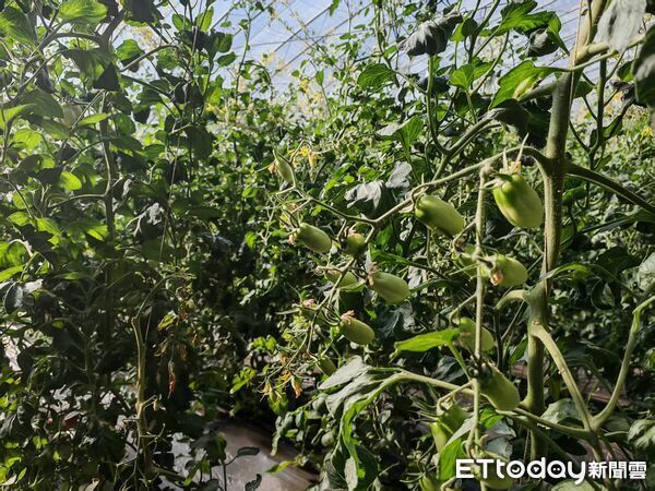 ▲▼ 內蒙留稿、2026            。（圖／記者任以芳攝）