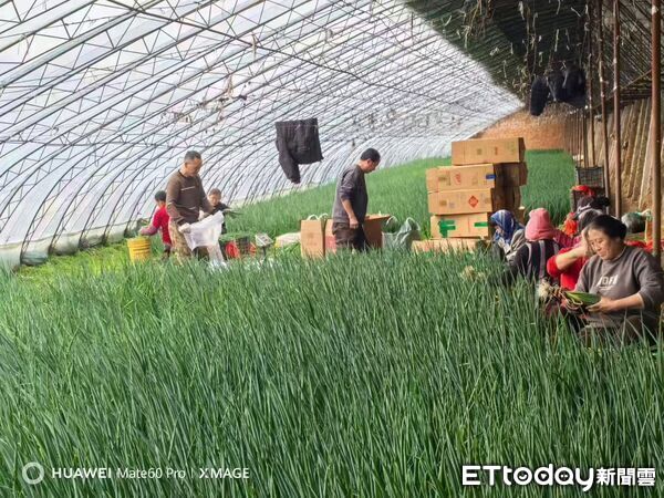 ▲▼ 內蒙留稿、2026            。（圖／記者任以芳攝）